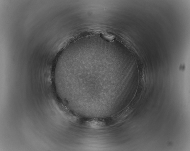 X0000113590512200910021721