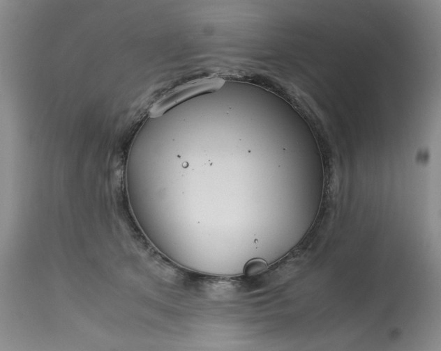 X0000113590513200910021721