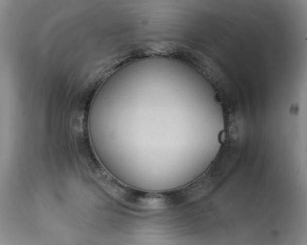 X0000113590514200910021721