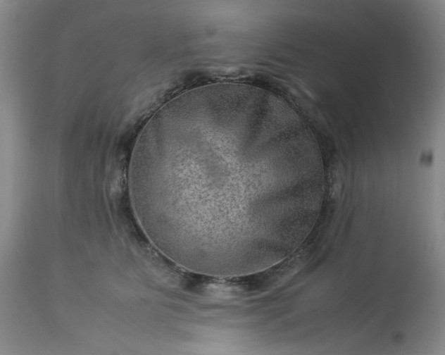 X0000113590515200910021721