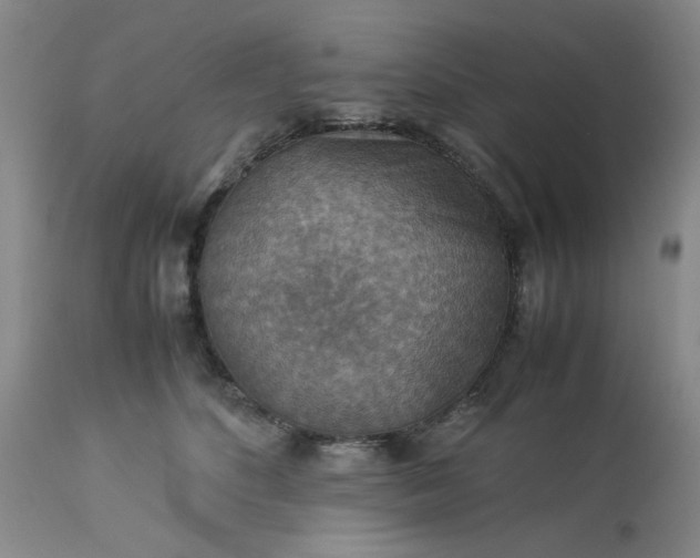 X0000113590516200910021721