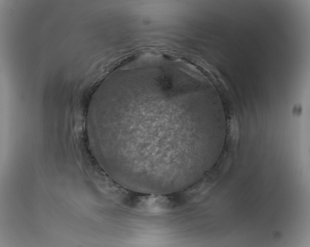 X0000113590517200910021721