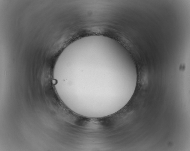 X0000113590518200910021721