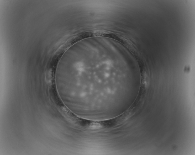 X0000113590519200910021720