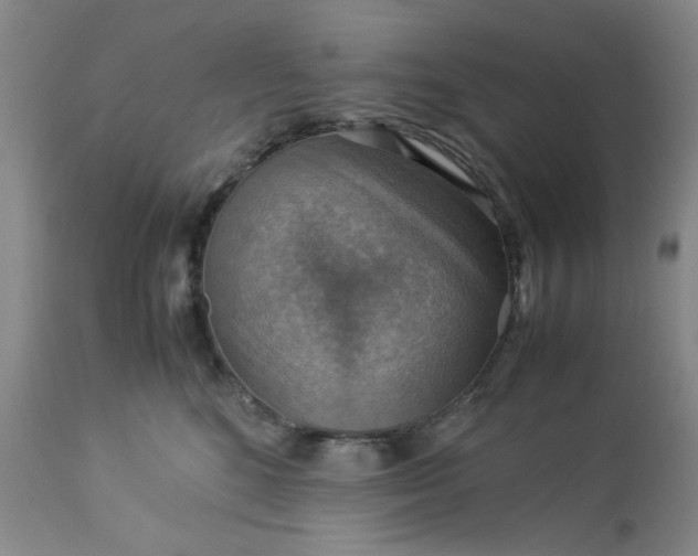 X0000113590520200910021720