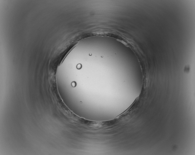 X0000113590521200910021720