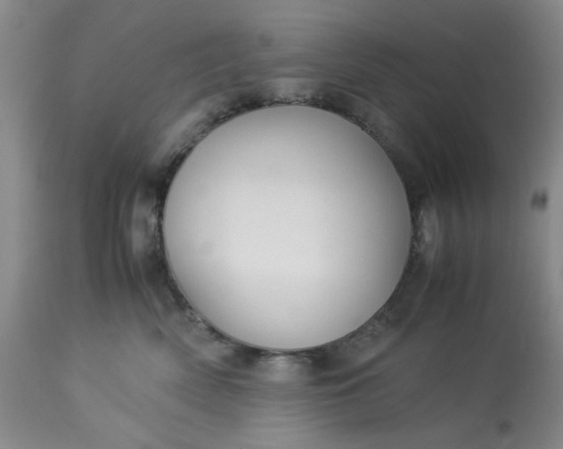 X0000113590522200910021720