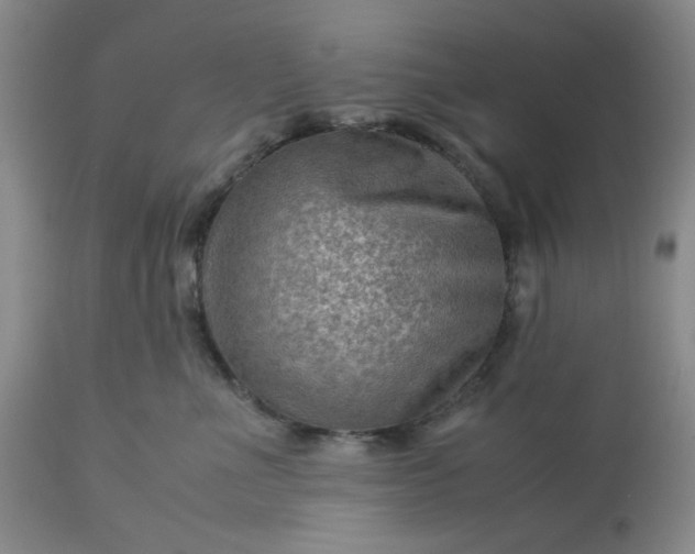 X0000113590523200910021720