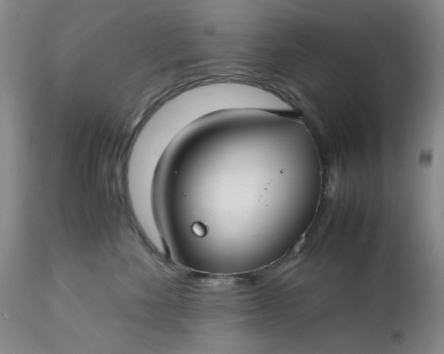 X0000113590524200910021720