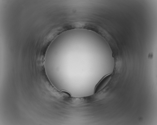 X0000113590525200910021720