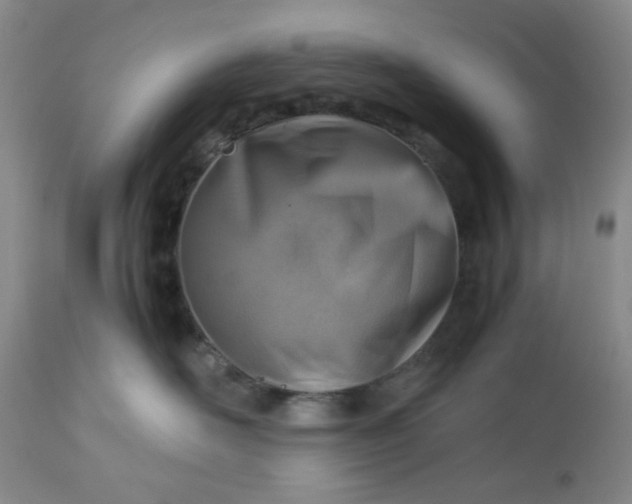 X0000113590526200910021720