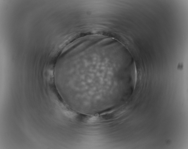 X0000113590527200910021720