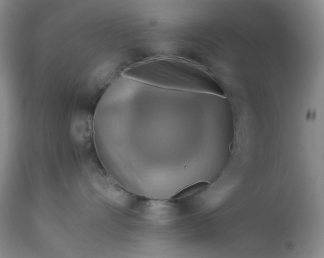 X0000113590528200910021720