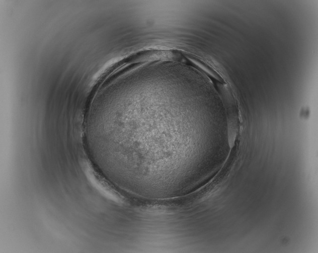 X0000113590530200910021719