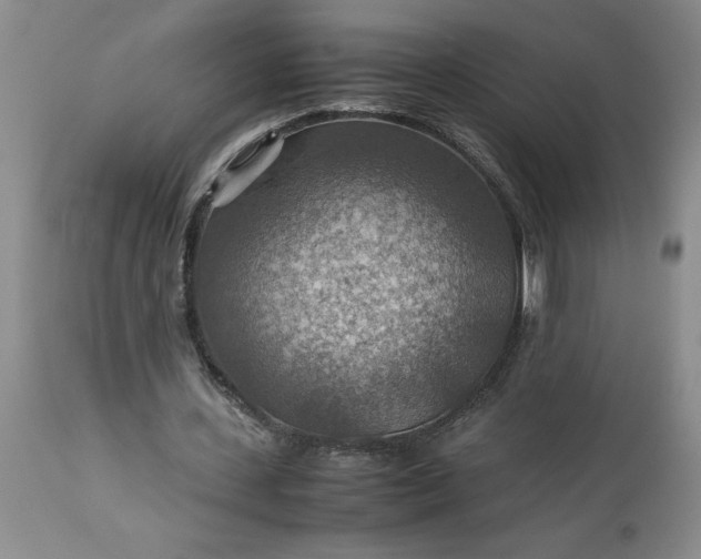 X0000113590531200910021719