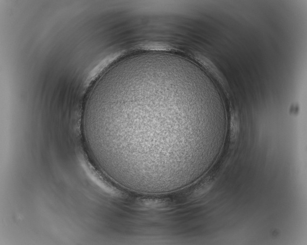 X0000113590533200910021719