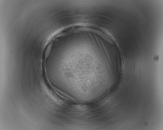 X0000113590535200910021719