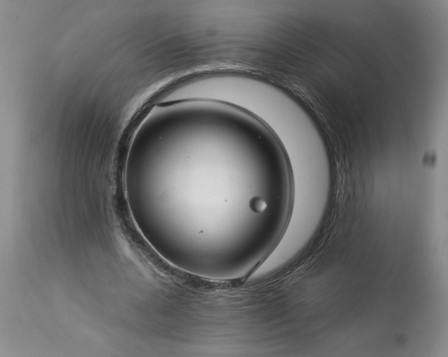 X0000113590536200910021719