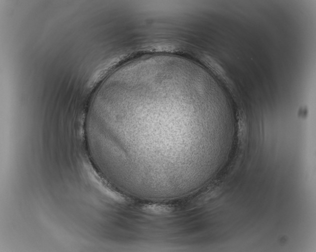 X0000113590537200910021719