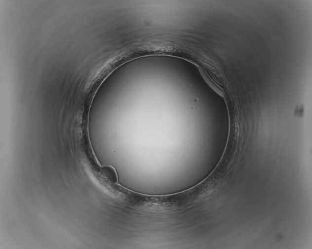 X0000113590538200910021719