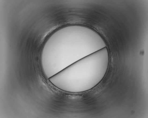 X0000113590539200910021719