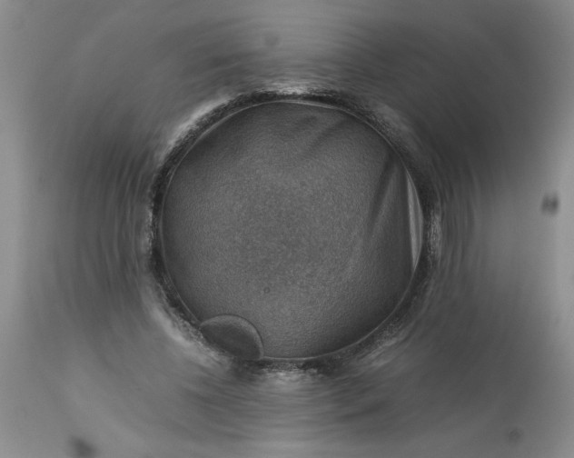 X0000113590540200910021720