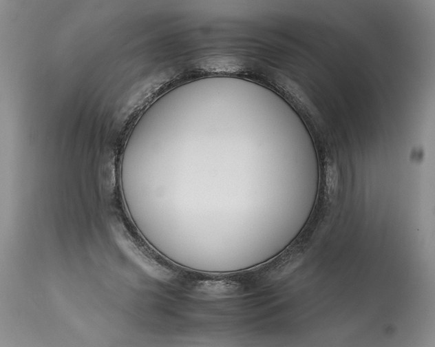 X0000113590541200910021720