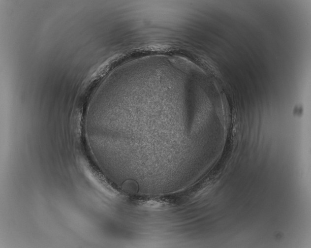 X0000113590542200910021720