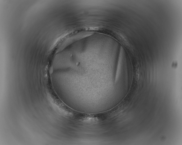 X0000113590543200910021720