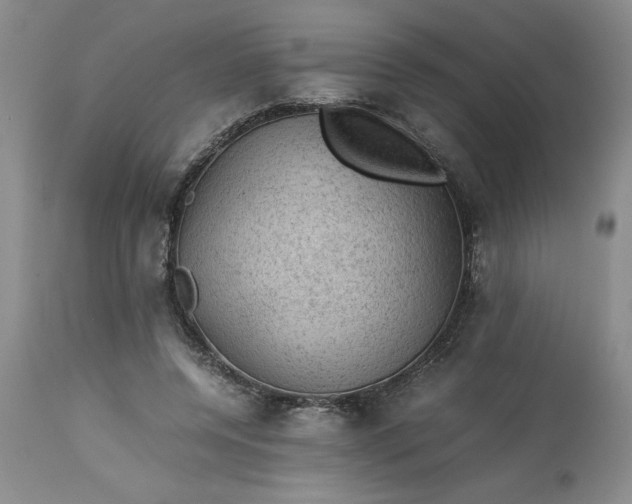 X0000113590544200910021720