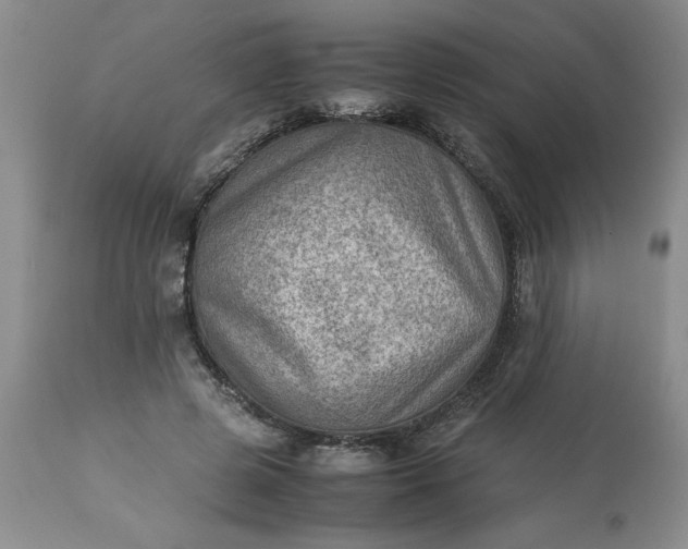 X0000113590545200910021720