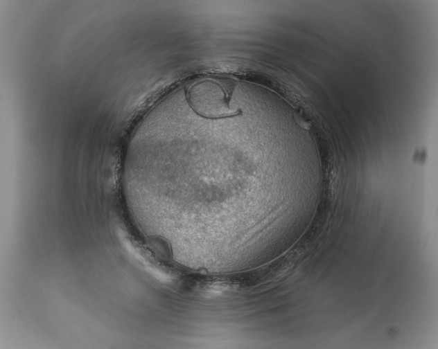 X0000113590546200910021720