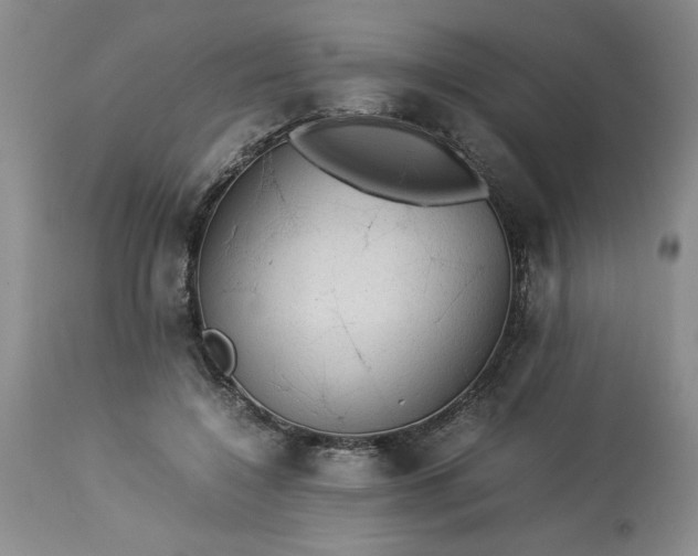 X0000113590548200910021720