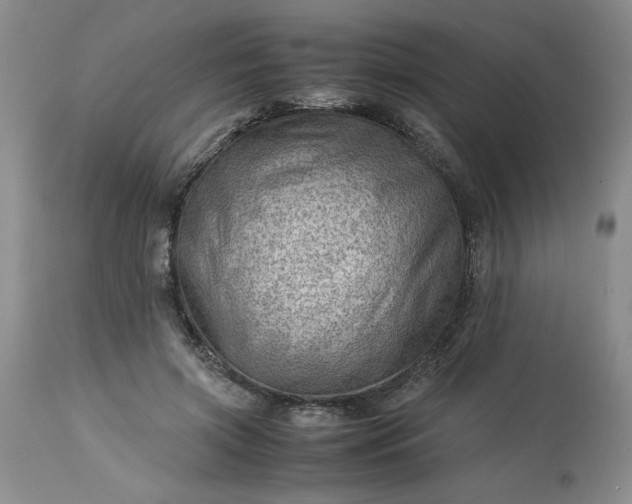 X0000113590549200910021720