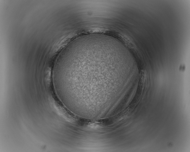 X0000113590550200910021720