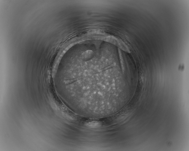 X0000113590551200910021720