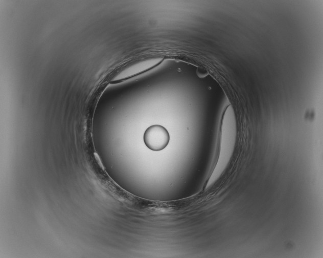 X0000113590552200910021720