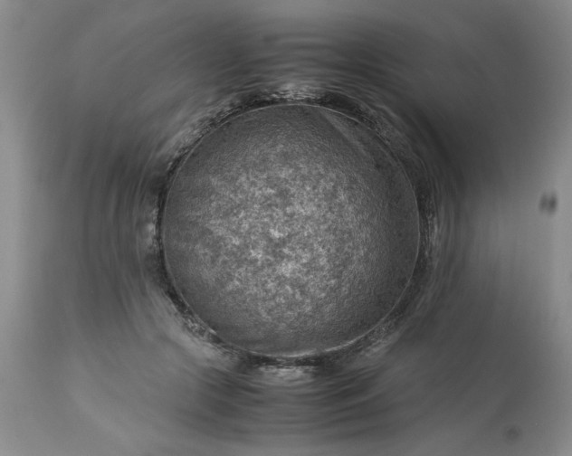 X0000113590553200910021720