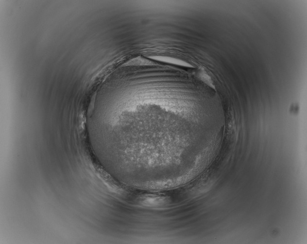 X0000113590555200910021720