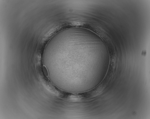 X0000113590556200910021720