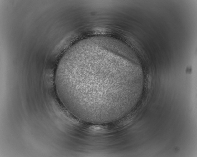 X0000113590557200910021720