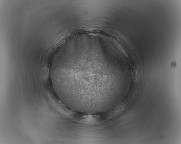 X0000113590558200910021720