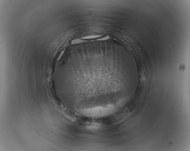 X0000113590559200910021720