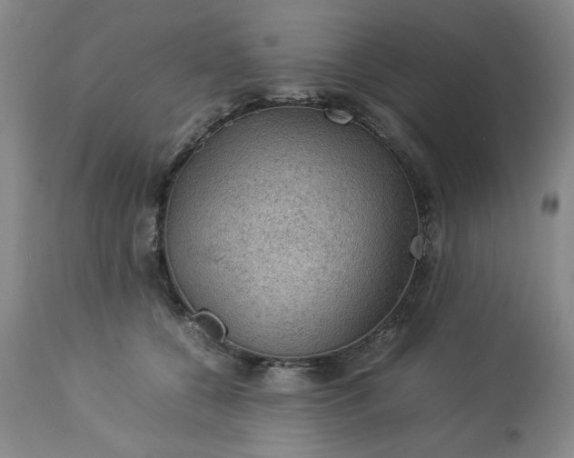 X0000113590560200910021720