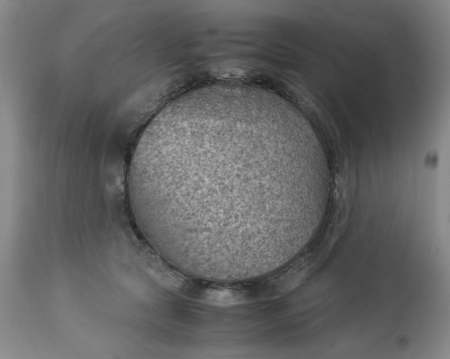 X0000113590561200910021720