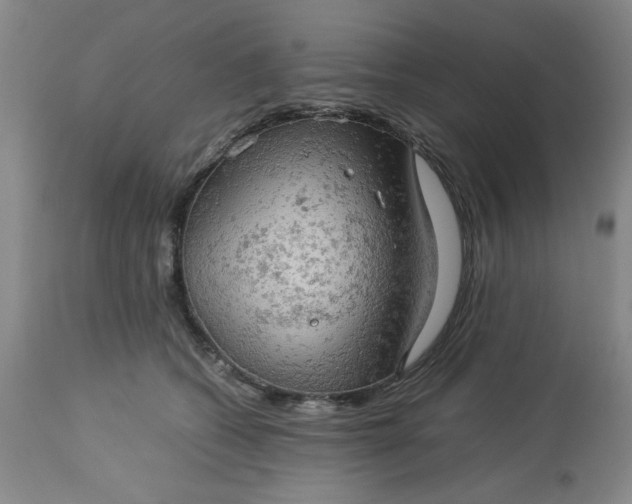 X0000113590562200910021720