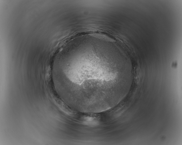 X0000113590563200910021720