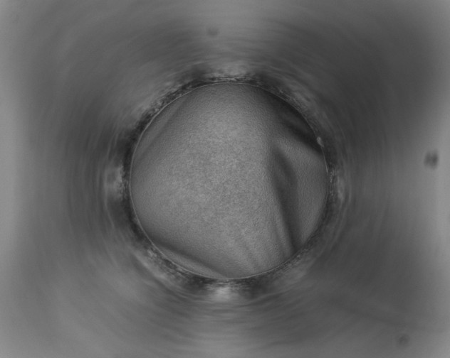 X0000113590564200910021720