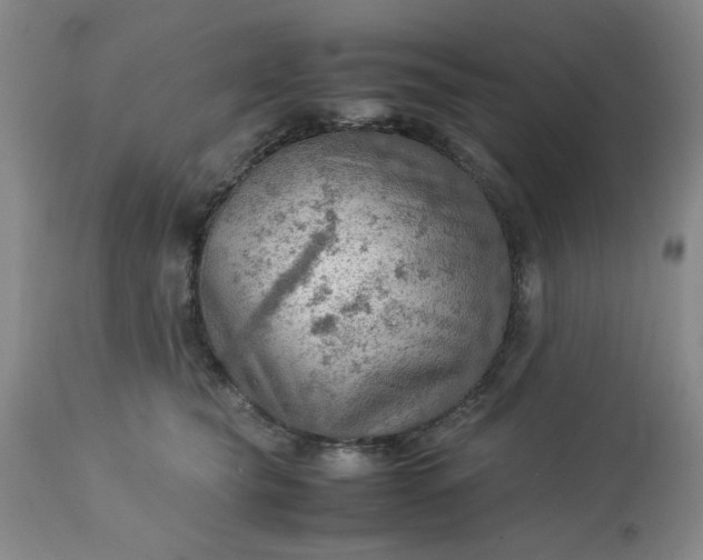 X0000113590565200910021720