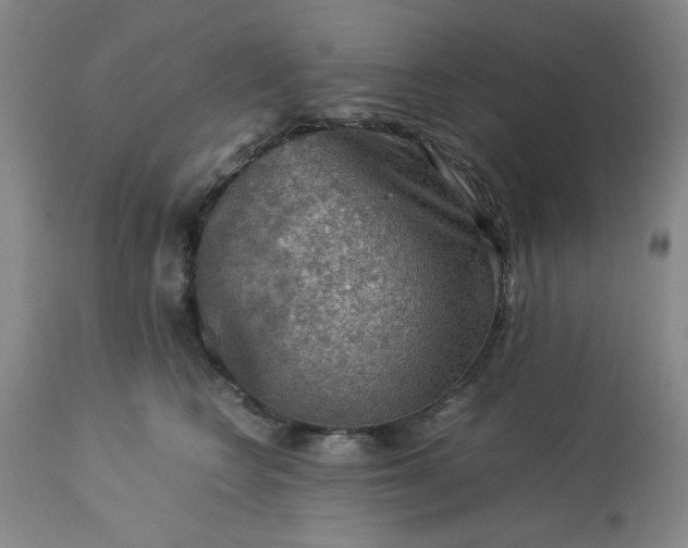 X0000113590566200910021720